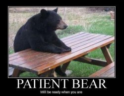 $patient-bear1.JPG.jpeg