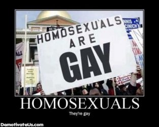 $homosexuals-gay-demotivational-posters.jpg