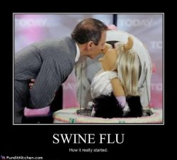 $political-pictures-lauer-piggy-swine-flu.jpg