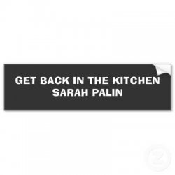 $get_back_in_the_kitchen_sarah_palin_bumper_sticker-p128856182342448589trl0_400.jpg
