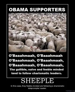 sheeple-6-sheeple-obama-liberals-funny-idiots-political-poster-1274936091.webp