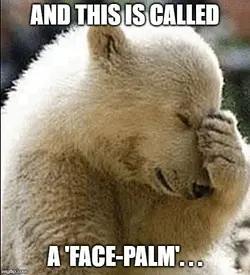 facepalm.webp