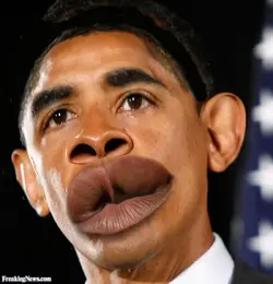 F62F037D-4951-4FF7-A250-E93FE7026EA8.webp