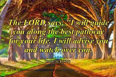 I will guide you says the Lord.webp