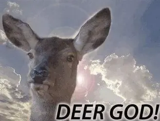 2016-12-10 10.18.54.webp