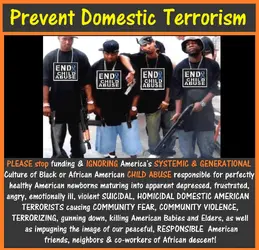 Domestic Terrorism, RESPONSIBLE AMERICANS.webp