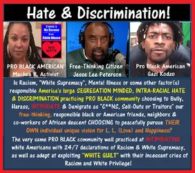 Jesse Lee Peterson, Mechee X, gazi kodzo.webp