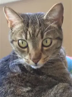 20200321_133542 (2).webp