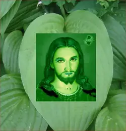 green_leaf.webp