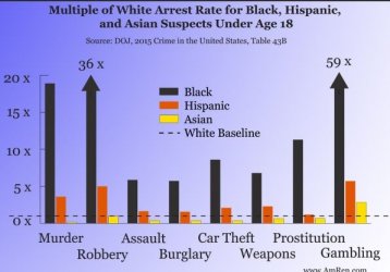 black crime rates.jpg