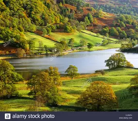1592601905836.webp