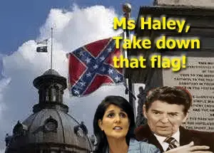 Base reg_edited-2.webp