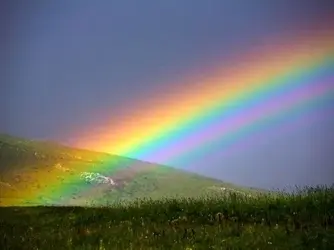 rainbow.webp