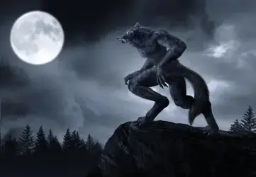 wolf.webp wolf.webp