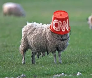 cnn.webp cnn.webp