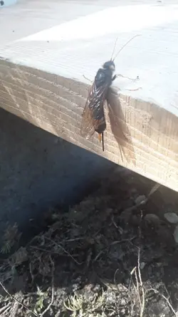 20200814_133040.webp 20200814_133040.webp