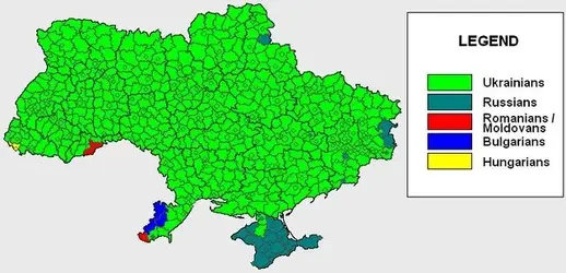 image.webp image.webp