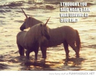 funny-unicorns-water-noahs-ark-leave-5-pics.jpg