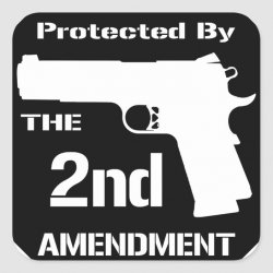 protected_by_the_second_amendment_black_png_square_sticker-r4728e897f957475ea777206294723cfd_0...jpg