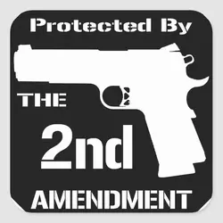 protected_by_the_second_amendment_black_png_square_sticker-r4728e897f957475ea777206294723cfd_...webp