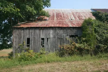 BARN.webp