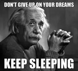 funny-Einstein-thought-dreams-sleeping.webp