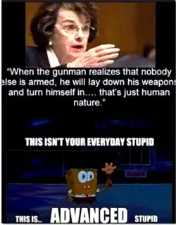 dianna feistein 3.webp