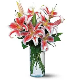 $lilies-vase.webp $lilies-vase.webp