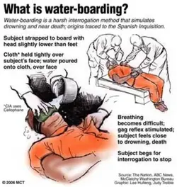 $what-is-waterboarding.webp