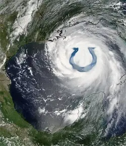 $colts in cloud.webp