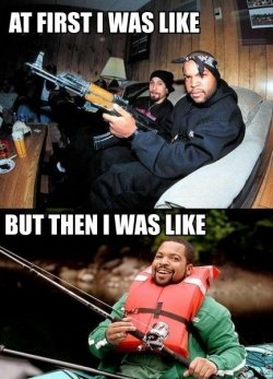 $Ice Cube.jpg