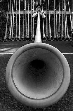 $alphorn04.webp