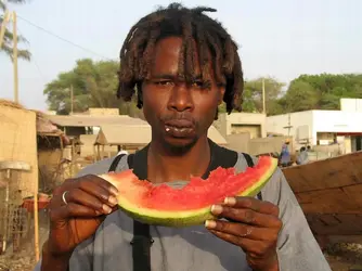 $watermelon.webp