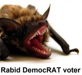 rabid democrat.jpg