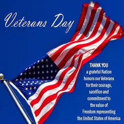 286431-Veterans-Day.webp