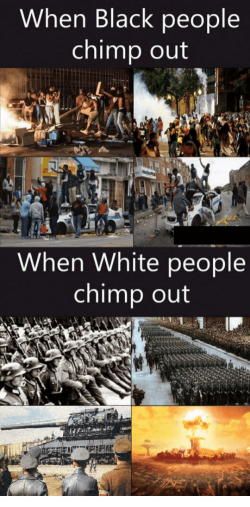when-black-people-chimp-out-when-white-people-chimp-out-10575697.png