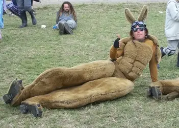 kangaroo-2.webp kangaroo-2.webp