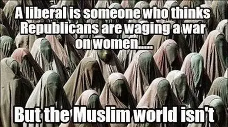 Liberals think Republicans are waging war on women.webp