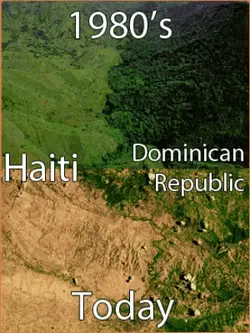 Screenshot_2020-11-21 tragedy ofthe commons Haiti - Google Search.webp