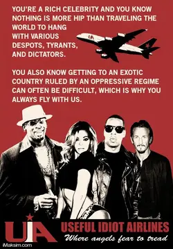 useful-idiot-airlines.webp