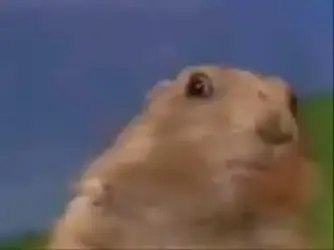 hqdefault.webp hqdefault.webp