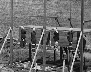 Execution of the Lincoln conspirators, 1865 7 (1).webp