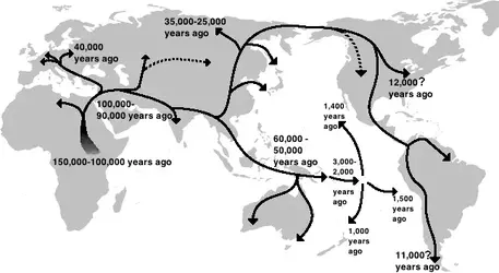 Human_migration_out_of_Africa.webp