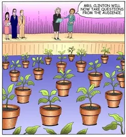 plants.webp plants.webp