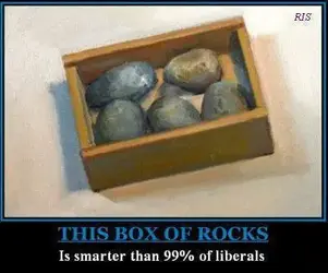 this-box-of-rocks-is-smarter-than-99-of-liberals.webp