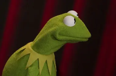 _00-rea-008 (2).webp