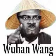 wuhan wang.webp wuhan wang.webp