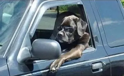 _00-rea-008 (24).webp