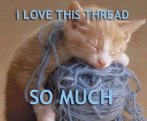 $lol-cats_i-love-this-thread-so-much.jpg