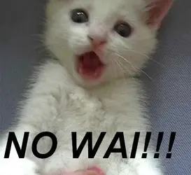 $nowai_2.webp $nowai_2.webp